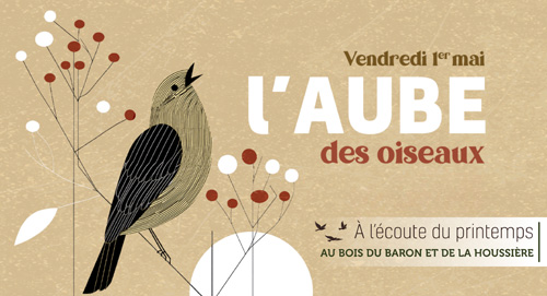À l’écoute du printemps au bois du Baron et de la Houssière