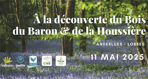 À la découverte du bois du Baron et de la Houssière